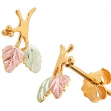 Earrings - by Landstrom's